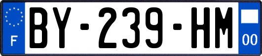 BY-239-HM