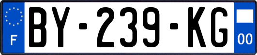 BY-239-KG