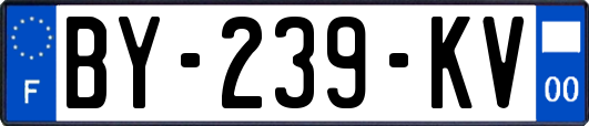BY-239-KV