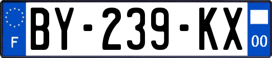 BY-239-KX