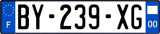 BY-239-XG