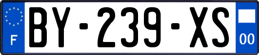 BY-239-XS