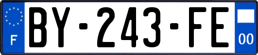 BY-243-FE