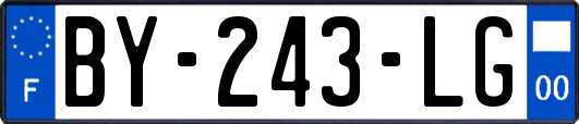BY-243-LG