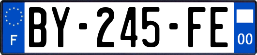 BY-245-FE