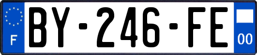 BY-246-FE