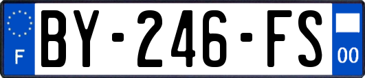 BY-246-FS