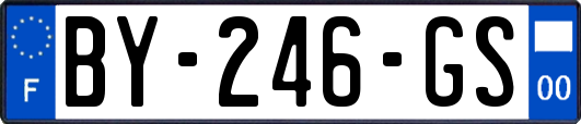 BY-246-GS