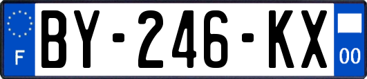 BY-246-KX