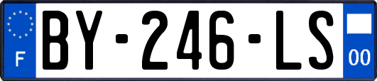 BY-246-LS