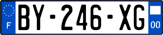 BY-246-XG