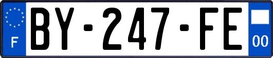 BY-247-FE