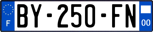 BY-250-FN