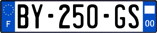 BY-250-GS