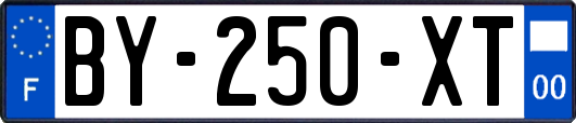 BY-250-XT