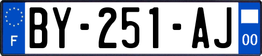 BY-251-AJ