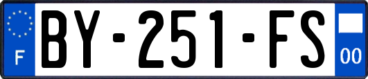 BY-251-FS