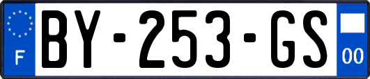 BY-253-GS