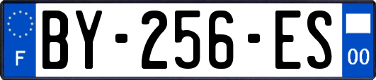 BY-256-ES