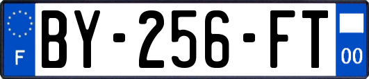 BY-256-FT