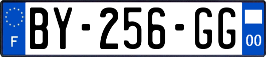 BY-256-GG