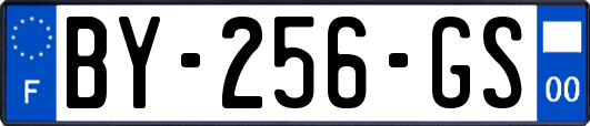 BY-256-GS