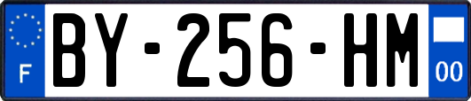BY-256-HM