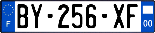 BY-256-XF