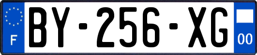 BY-256-XG