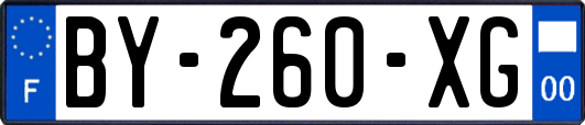 BY-260-XG