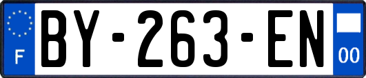 BY-263-EN