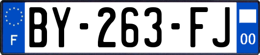 BY-263-FJ