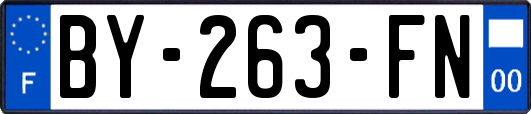 BY-263-FN