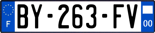 BY-263-FV