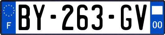 BY-263-GV