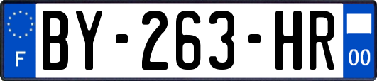 BY-263-HR