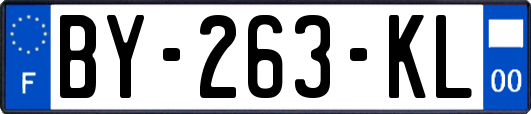 BY-263-KL