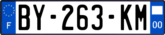 BY-263-KM