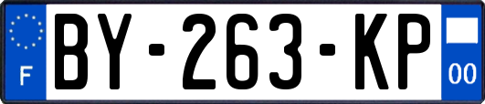 BY-263-KP