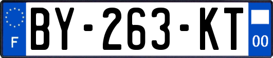 BY-263-KT