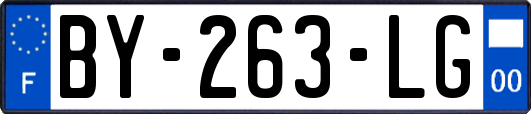 BY-263-LG