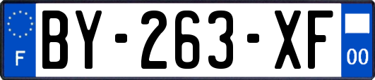 BY-263-XF