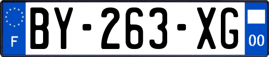 BY-263-XG