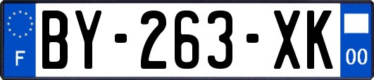 BY-263-XK
