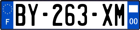 BY-263-XM