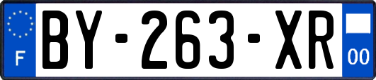 BY-263-XR