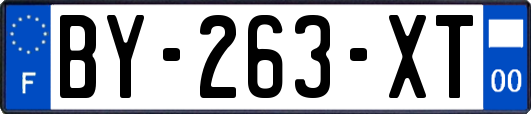 BY-263-XT