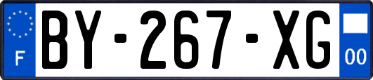 BY-267-XG