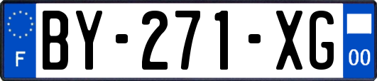 BY-271-XG