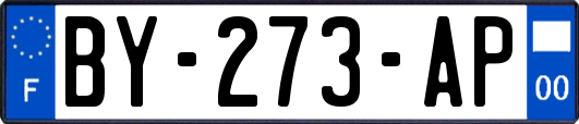 BY-273-AP